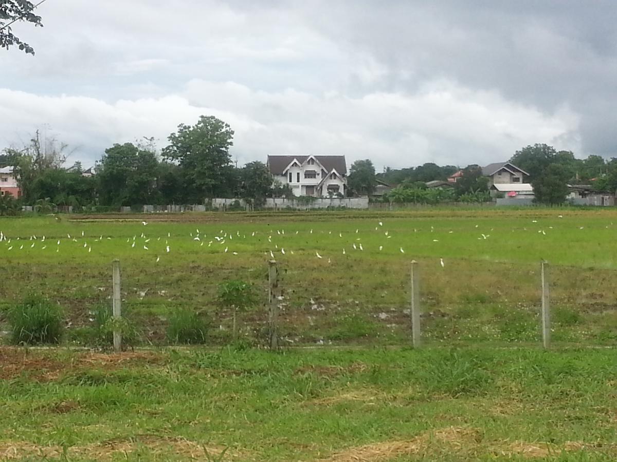 Queue&Bright Resort Ban Pa Tung  Rom bilde